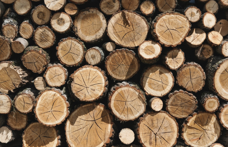 Nestačí prirodzená odolnosť dreva proti škodcom?