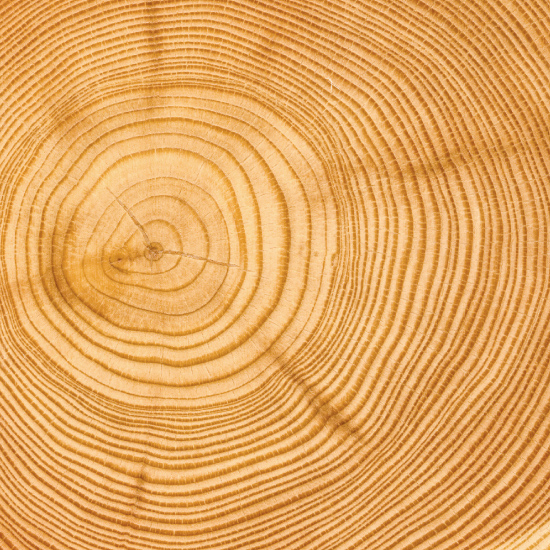 Verlängerung der Lebensdauer von Holz