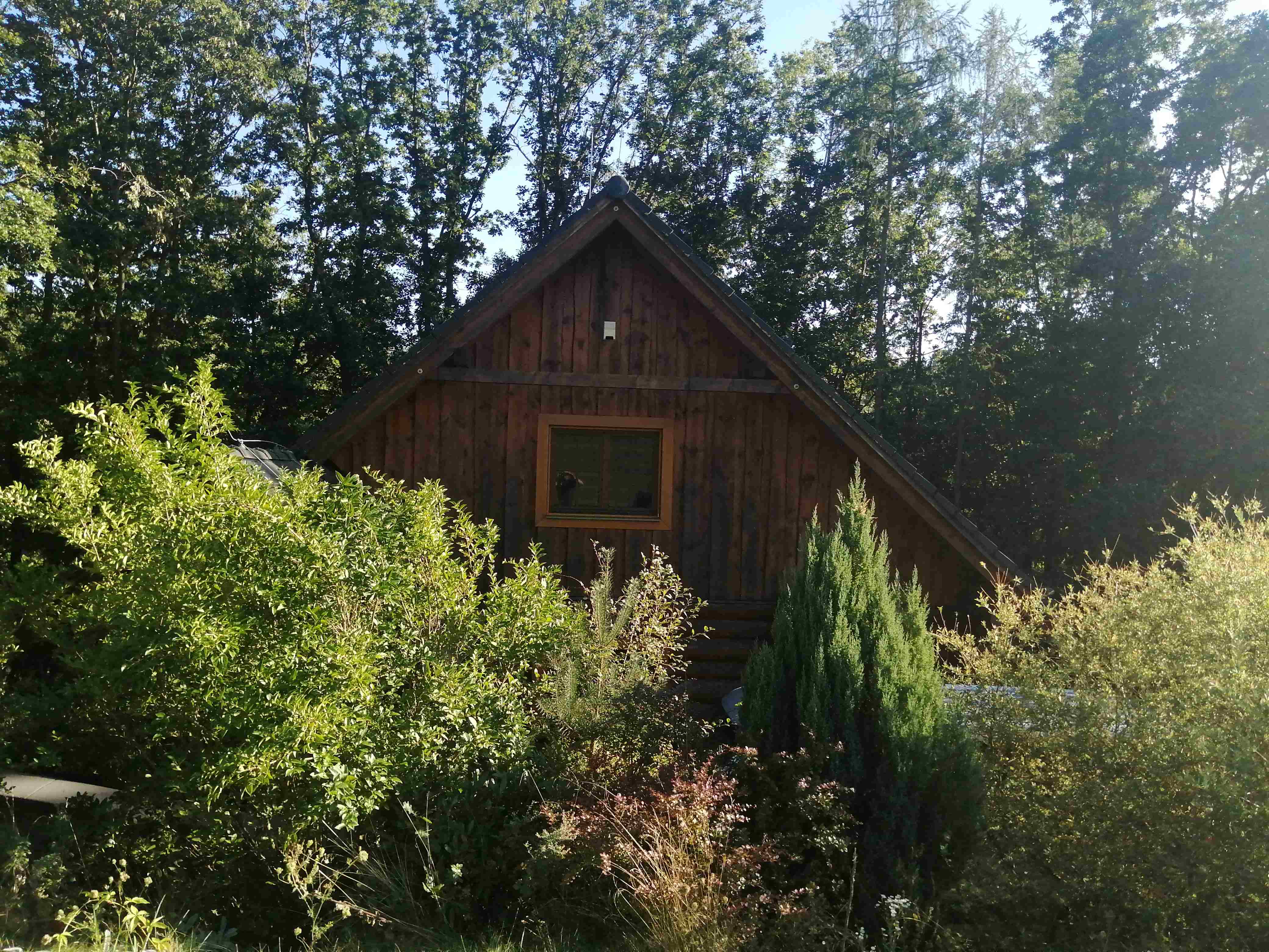 Sanierung eines Blockhauses an der Moldau