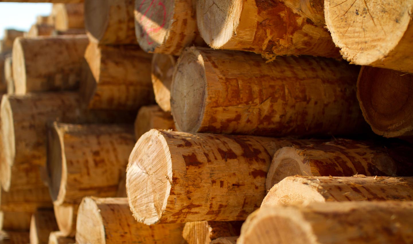 Bochemit vstúpil medzi elitu nemeckého drevárskeho priemyslu